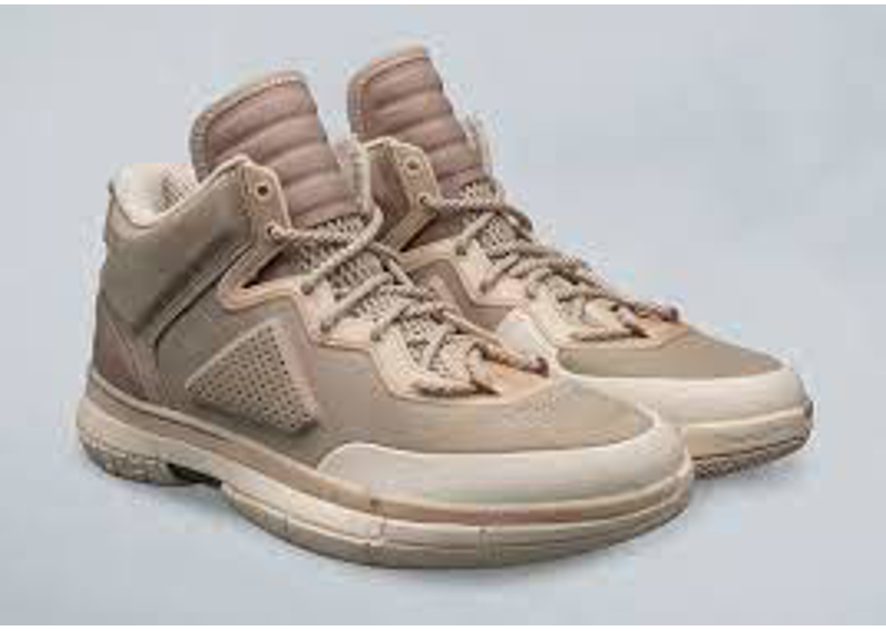 Li-Ning D Wade 1 Hall Of Fame