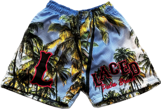 Laced Palm Beach Mesh Shorts